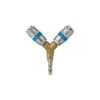 PCL Twin Coupling to Standard Adaptor