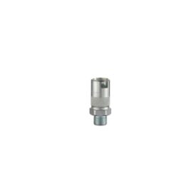 1/2" Coupling with 1/2" BSPT Male